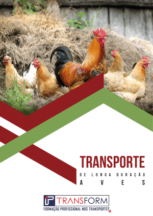 TRANSPORTE AVES © Transform 2021-23